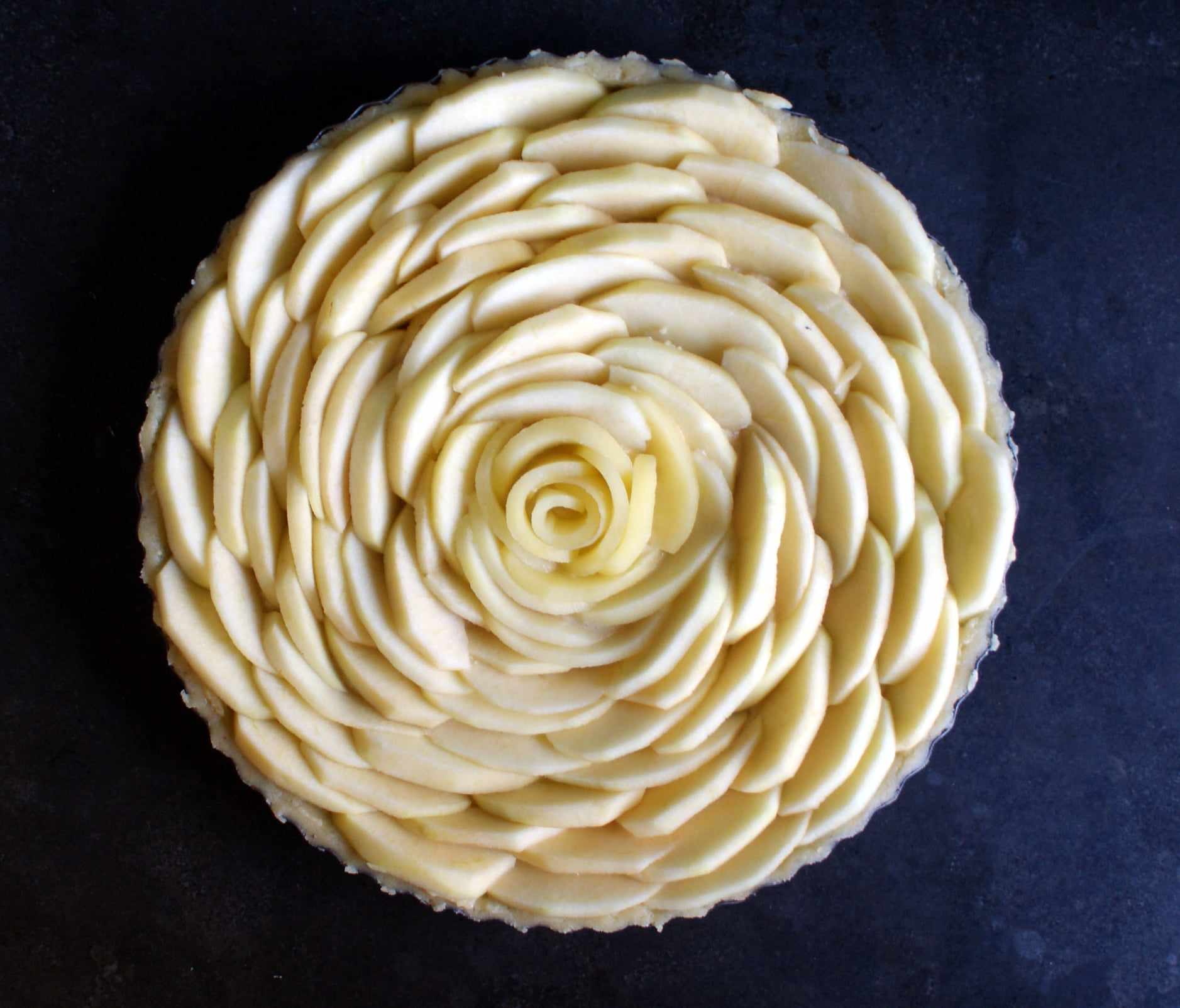 458206737_2045001912582308_7212296759919272268_n