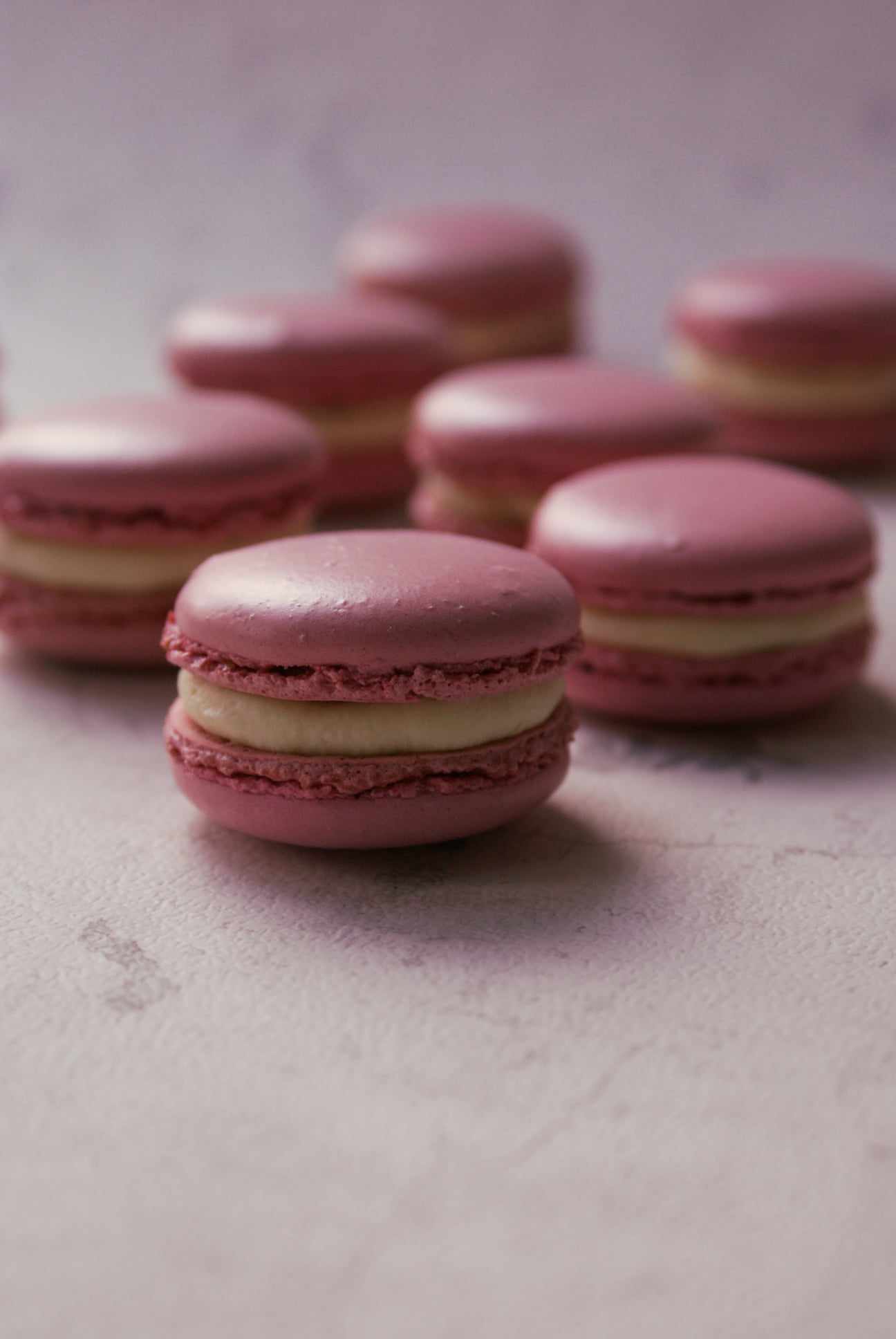 457262994_502668765848552_2349989728734833758_n