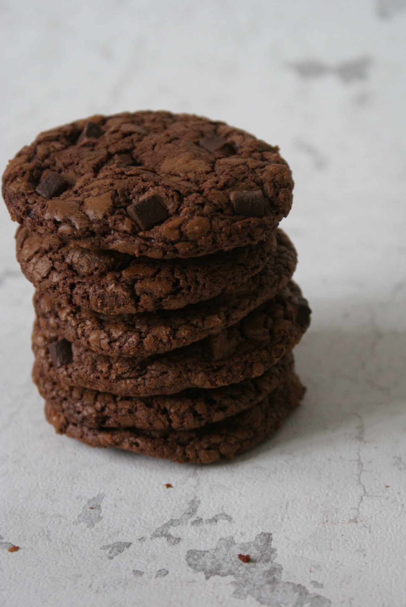 459072407_1193208131732849_5175651302303616122_n