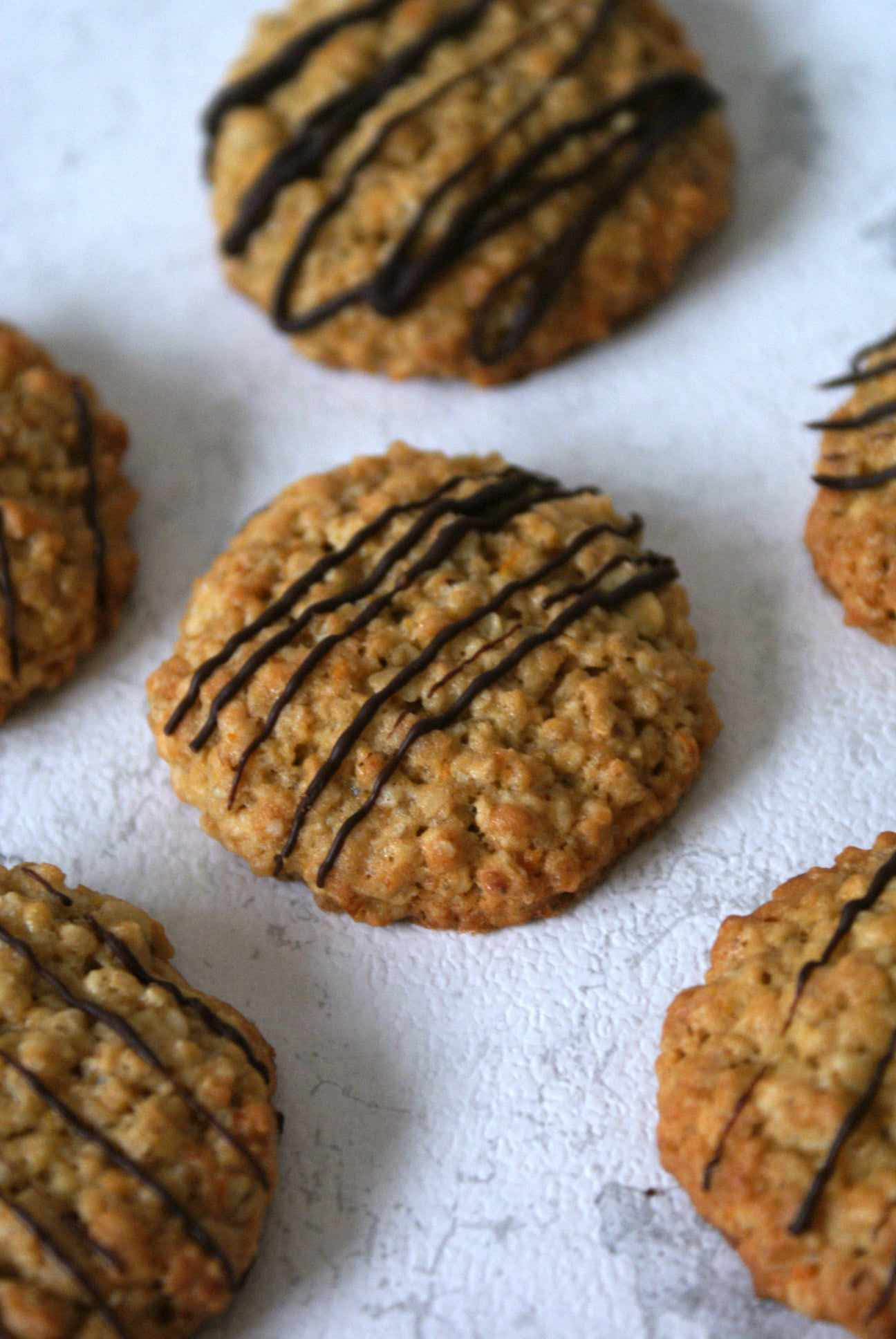 457621918_1315691935951935_5761341704327515998_n