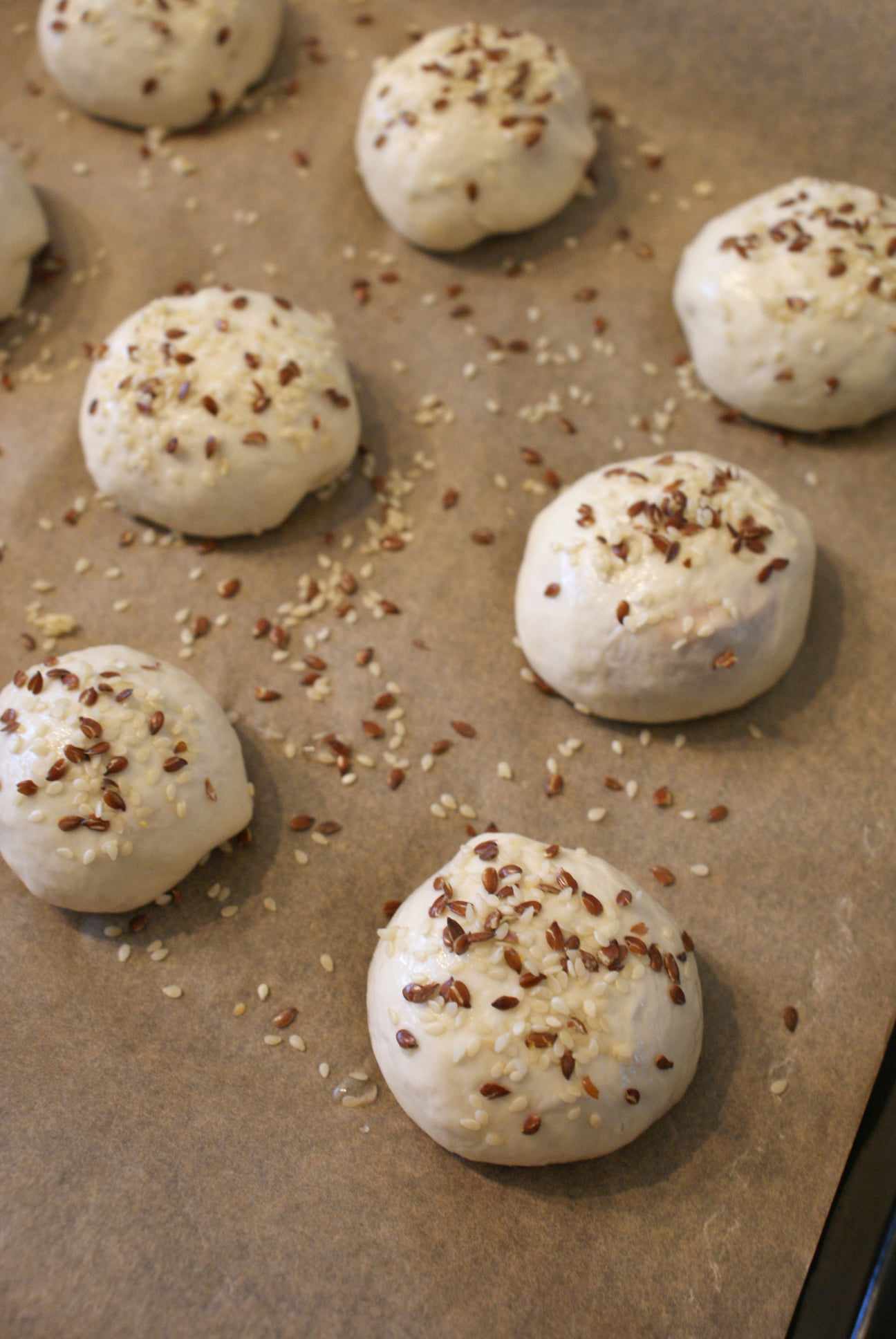 459092227_1410866456247314_8715946733235535768_n